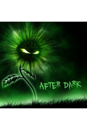 After Dark